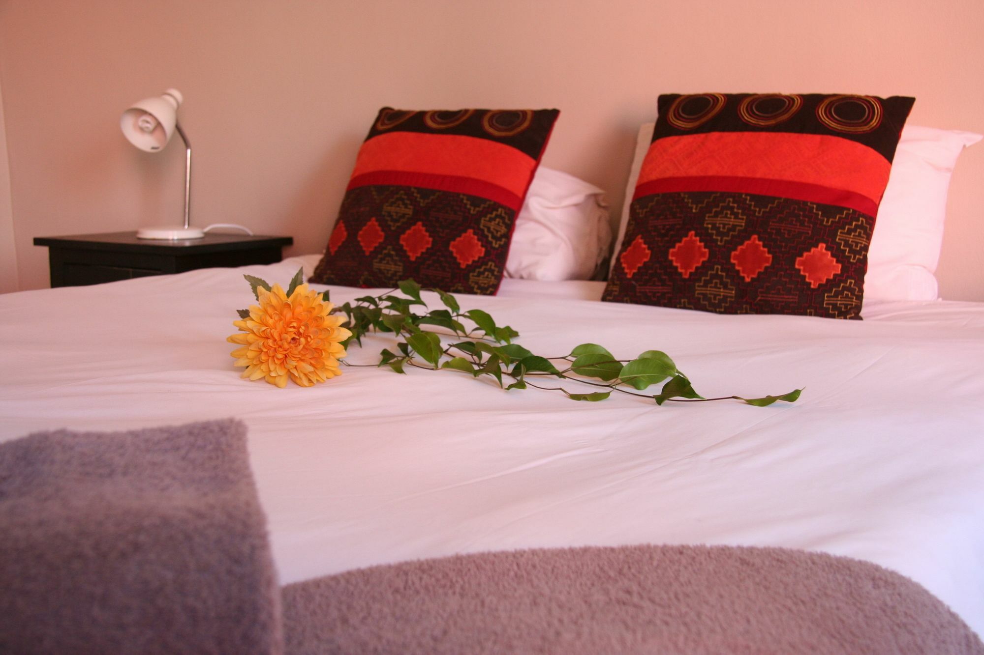 Dunedin Star Guesthouse Swakopmund Ngoại thất bức ảnh